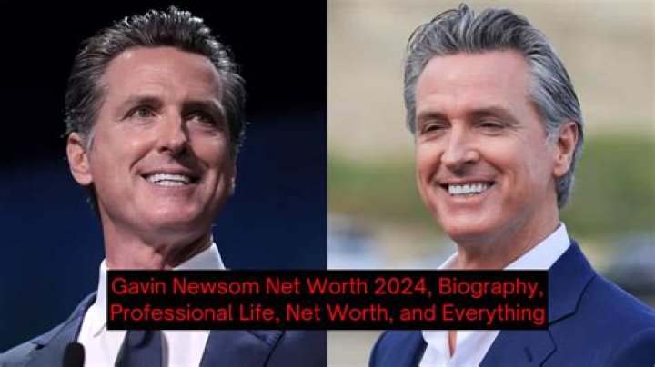 Andy Gavin Net Worth 2024