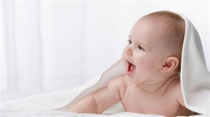 Bebe 
