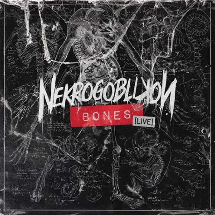 Bones by Nekrogoblikon from USA
