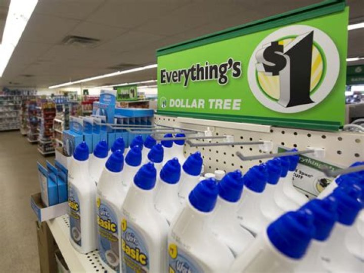 dollar tree franchise cost