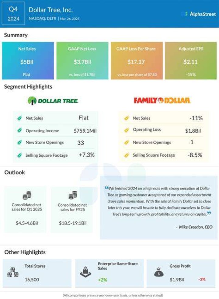 dollar tree profit potential image