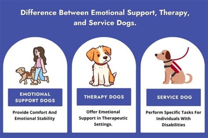 emotional support