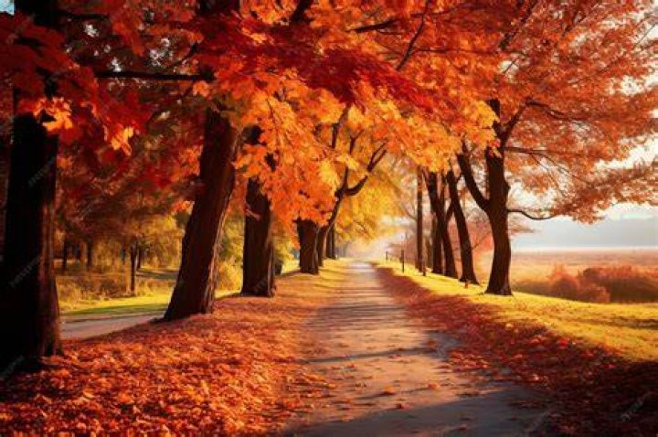 Fall 