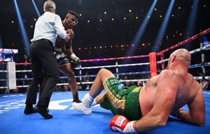 francis ngannou boxing
