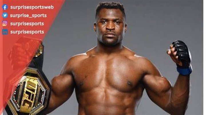 francis ngannou net worth