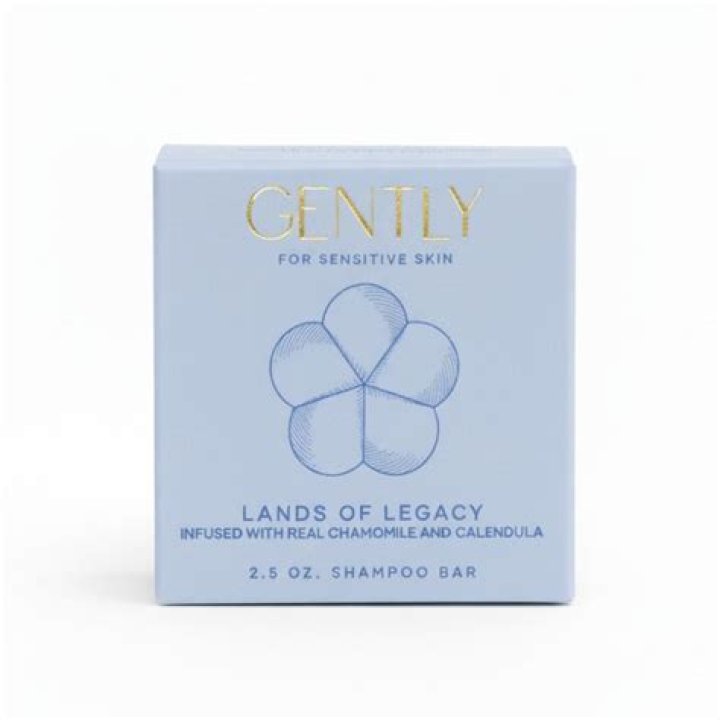 Gently Soap Accessibility Gently Soap Accessibility