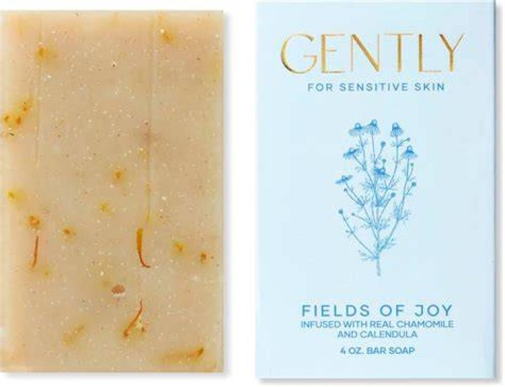 Gently Soaps Shark Tank Gently Soaps Shark Tank