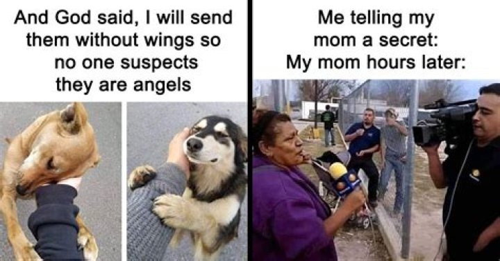 Hilarious Meme for you