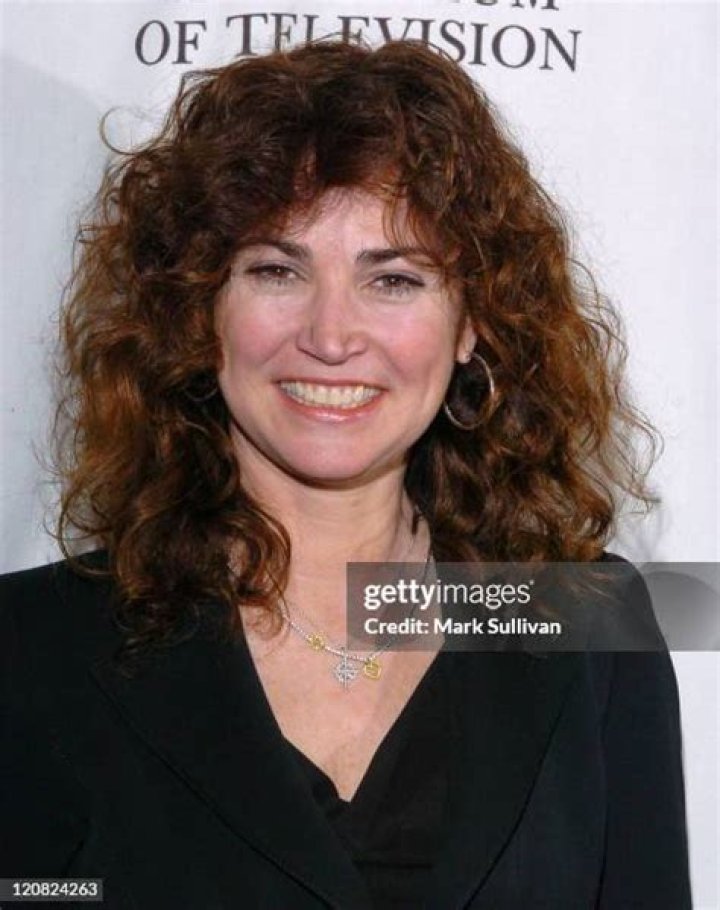 Kim Delaney Television Success Kim Delaney Television Success