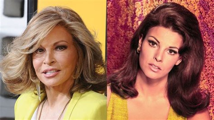 lisa welch net worth lisa welch net worth