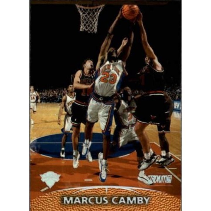 Marcus Camby
