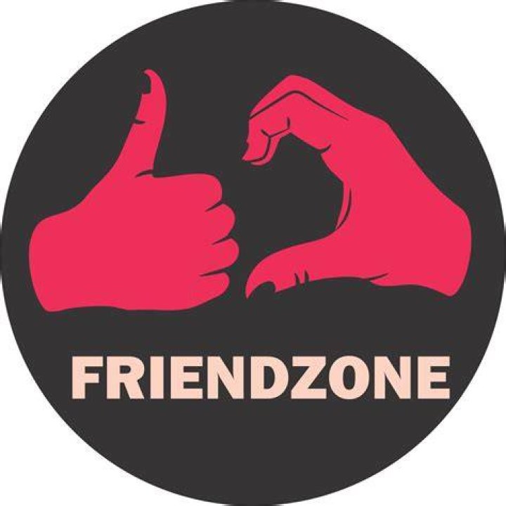 Official Friendzone logo