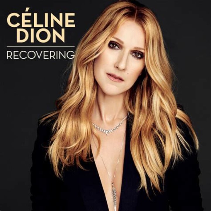 Recovering - C&eacute;line Dion - punk rock covers of pop songs