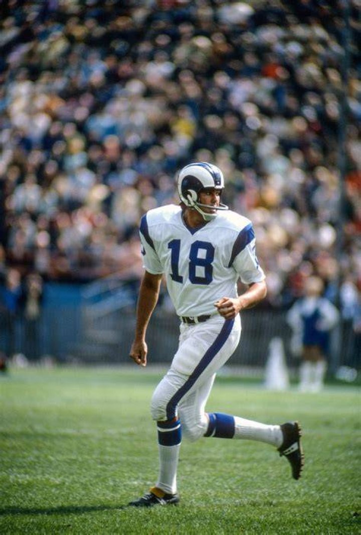 Roman Gabriel