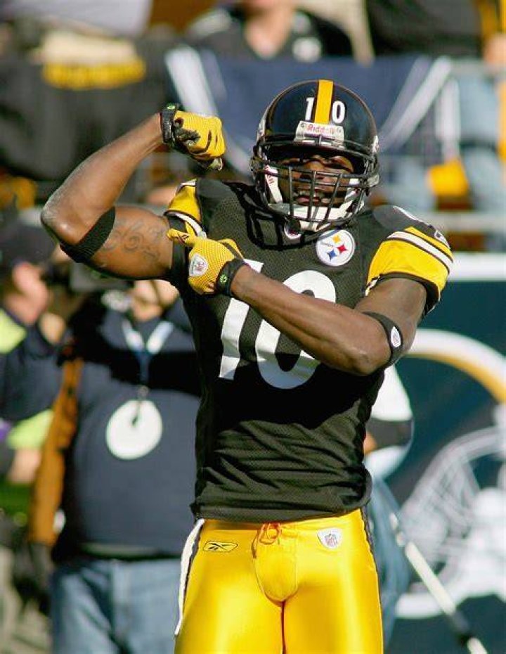 Santonio Holmes Net Worth
