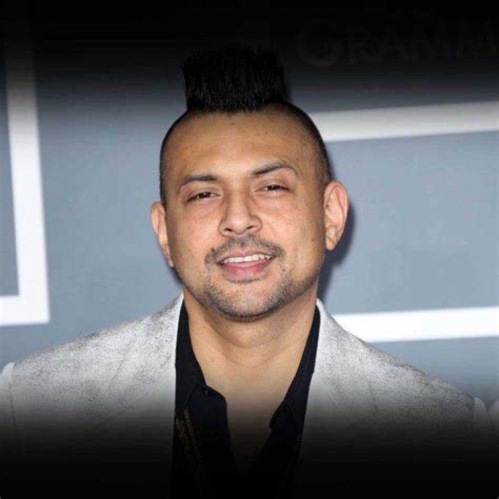 Sean Paul Sean Paul - Most Famous Singers from Jamaica