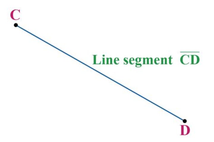 Segment