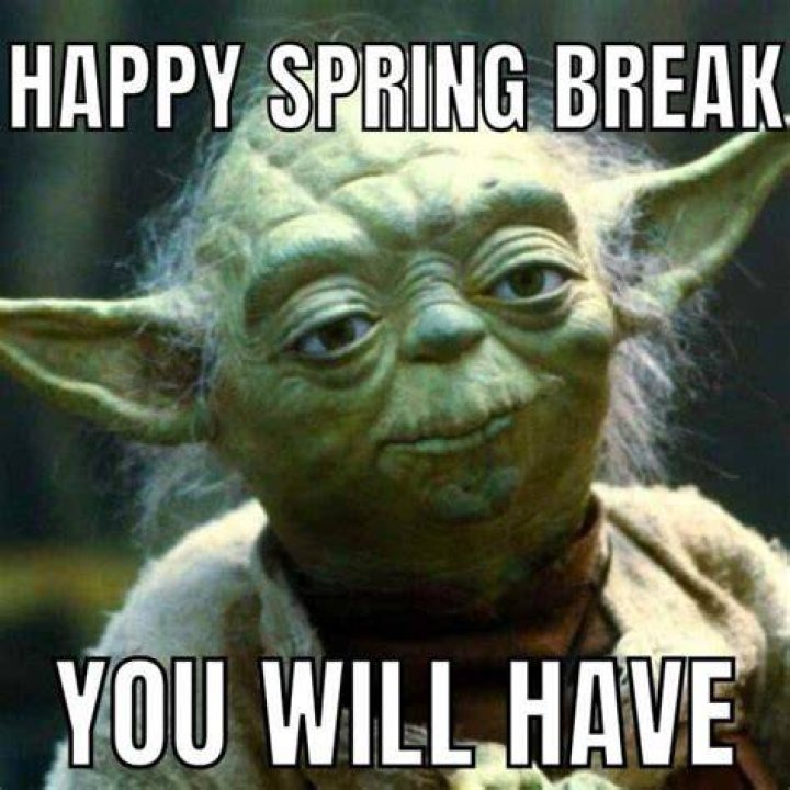 spring break meme