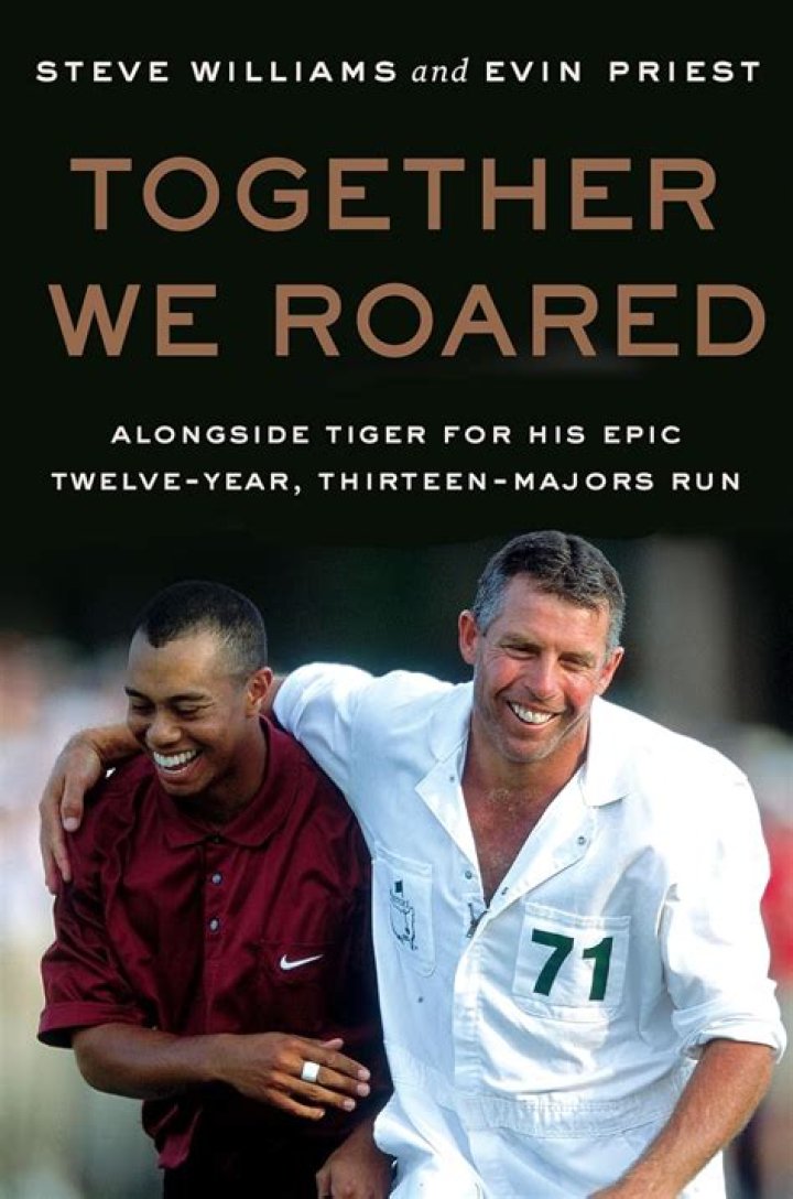 steve williams other partnerships