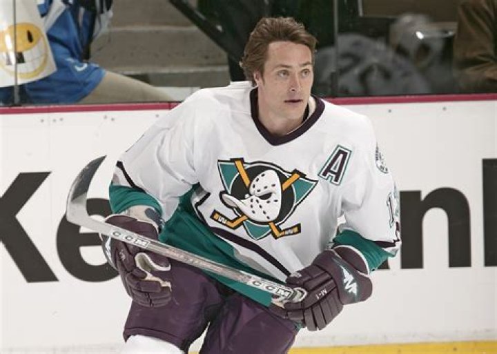 Teemu Selanne's business ventures and investments