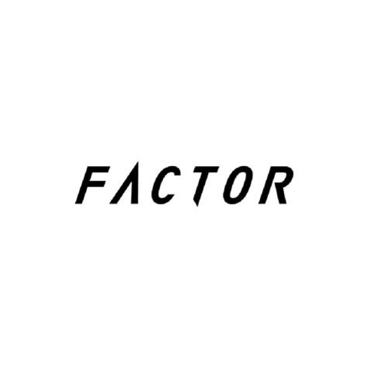 The Logo Factor The Logo Factor