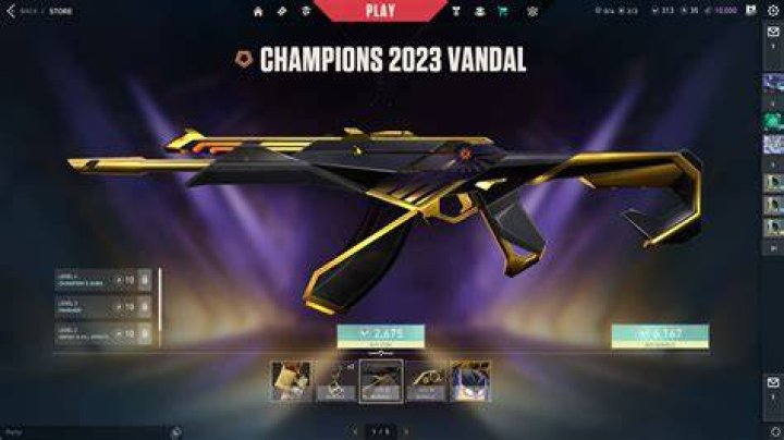 Valorant Champions Bundle Valorant Champions Bundle