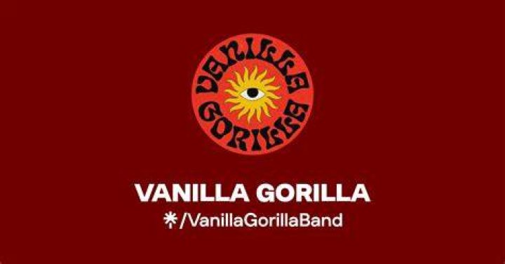 Vanilla Gorilla Music Video