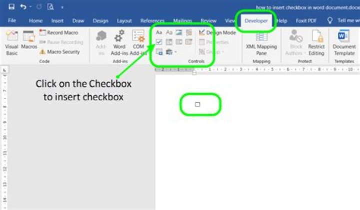 Word insert checkbox