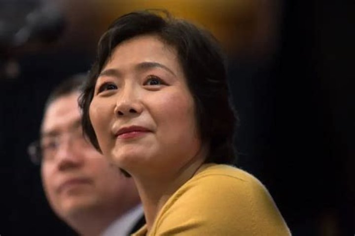 wu yajun net worth wu yajun net worth